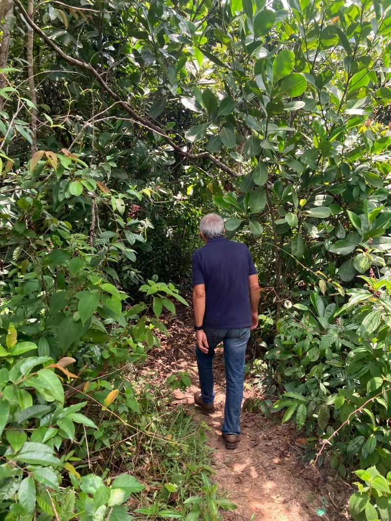 Man walking in Amazonian rainforest