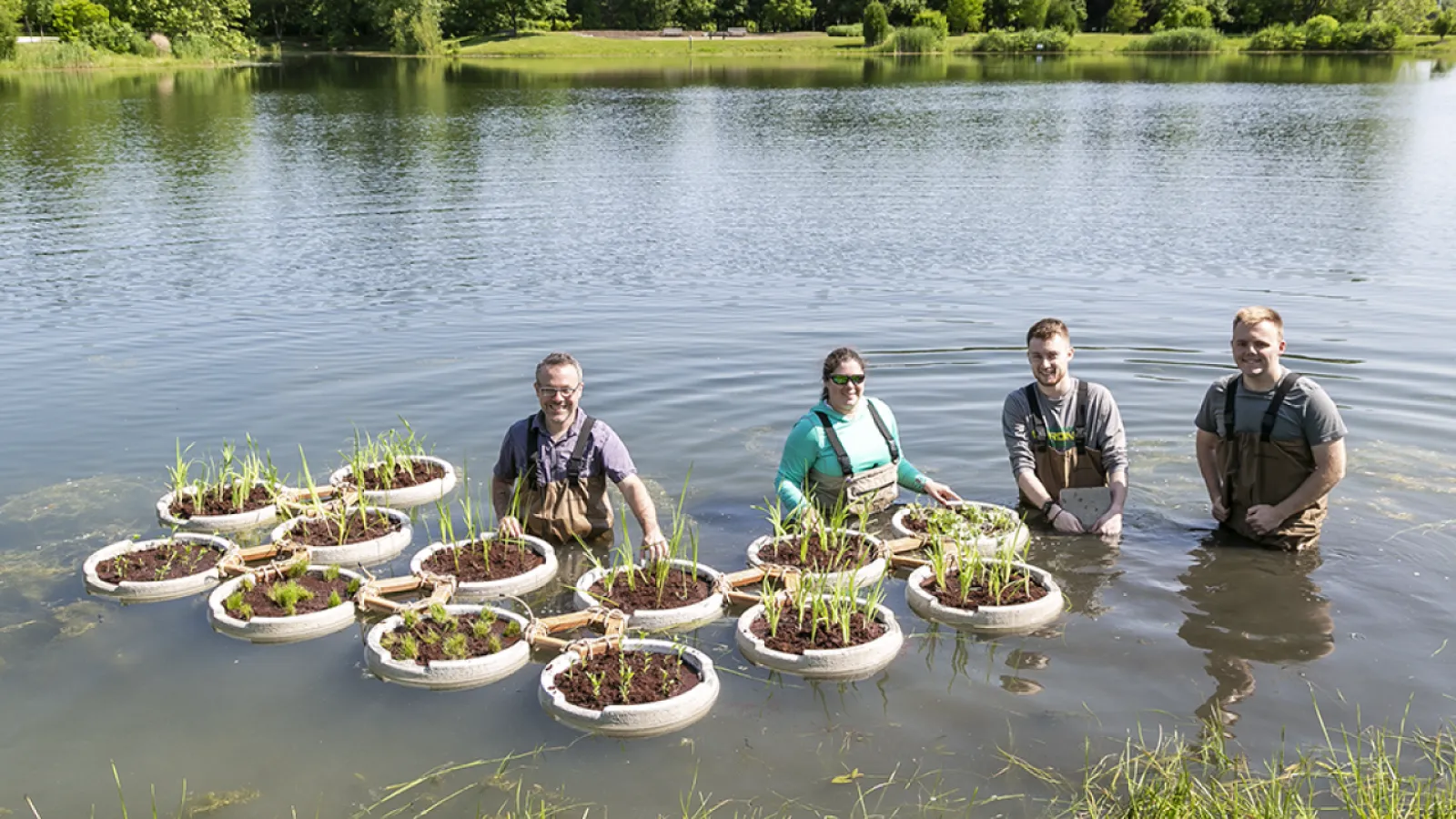 Researchers in water with floating crop islands