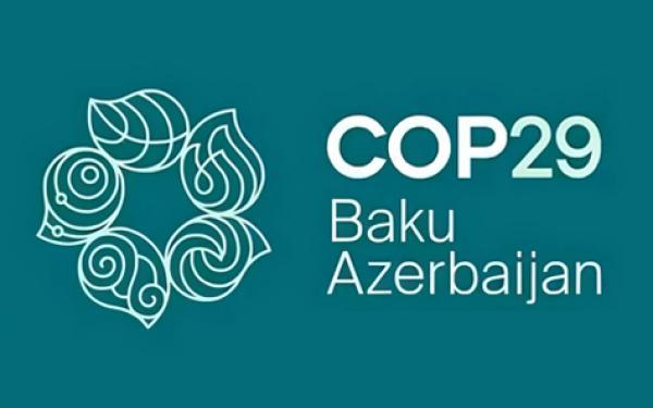 COP 29 Azerbaijan logo