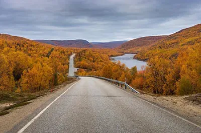 Highway stretching into the distance as it runs through a forest in Autumn