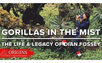 Dian Fossey taking a picture of a gorilla in the forest