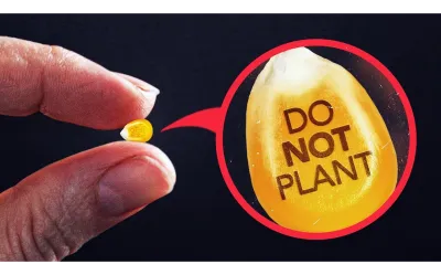Two fingers holding a corn kernel labeled "DO NOT PLANT"