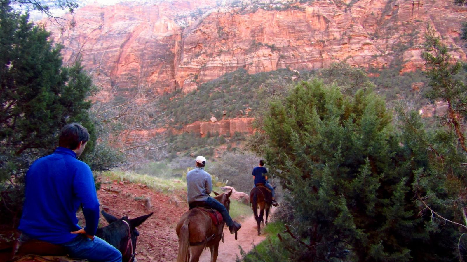 Students on horseback in Zion National Park 
